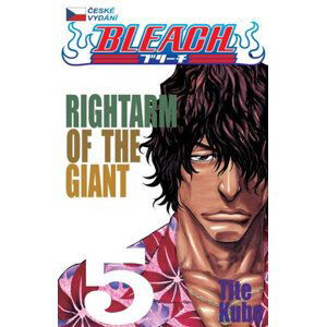 Bleach 5: Right Arm of the Giant - Kubo Tite