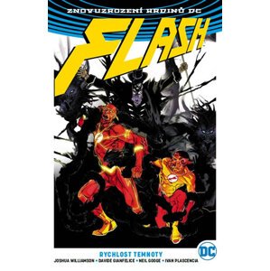 Flash 2 - Rychlost temnoty - Williamson Joshua