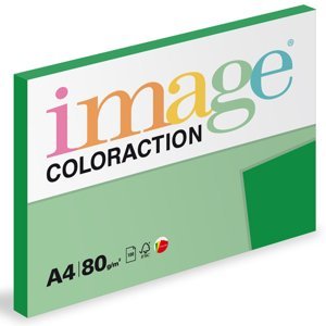 Coloraction A4 80 g 100 ks - Dublin/tmavě zelená