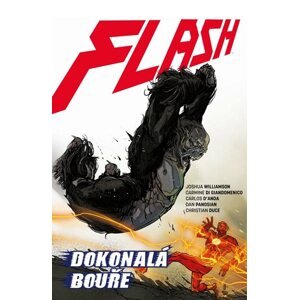 Flash 7 - Dokonalá bouře - Williamson Joshua