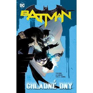 Batman - Chladné dny - King Tom