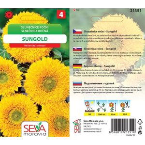 21351/4705 Slunečnice Sungold 1,6g