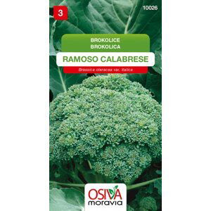 10026/1104 Brokolice Ramoso Calabrese 430 0,6g