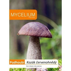 Kozák červenohnědý 10g - podhoubí