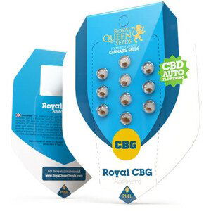 Royal CBG Automatic - samonakvétací semínka 5 ks Royal Queen Seeds