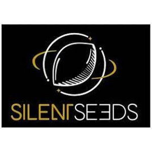 Original Amnesia - feminizovaná semena 5 ks, Silent Seeds