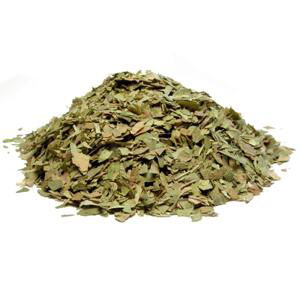 Bylík Ginkgo biloba list 30g