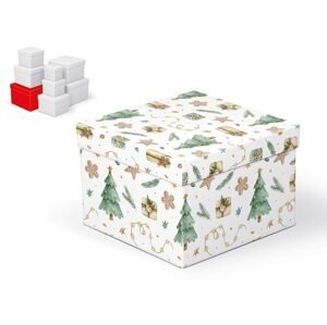 MFP 5370945 Krabice dárková vánoční C-V007-G 20x20x14cm