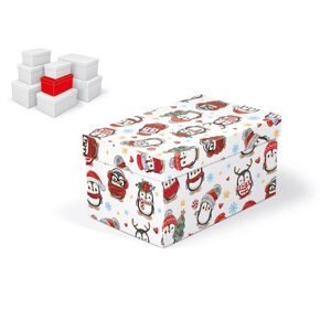 MFP 5371040 Krabice dárková vánoční B-V009-C 20x12x10cm