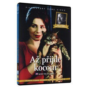 Až přijde kocour / Šest otázek pro Jana Wericha (DVD)