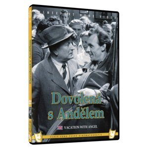 Dovolená s Andělem (DVD)