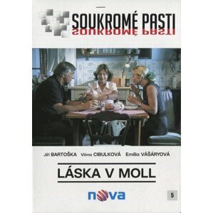 Soukromé pasti - Láska v moll (DVD) (papírový obal)