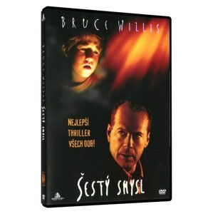 Šestý smysl (DVD)