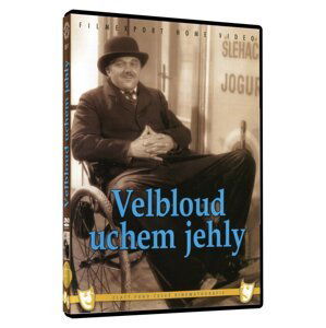 Velbloud uchem jehly (DVD)