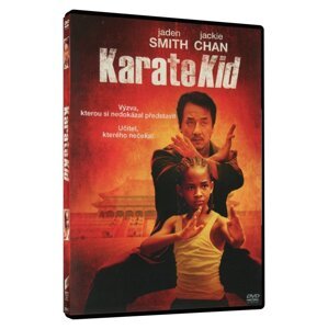 Karate Kid (2010) (DVD)