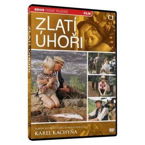 Zlatí úhoři (DVD)