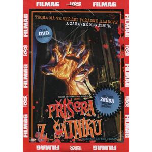 Příšera z šatníku (DVD) (papírový obal)