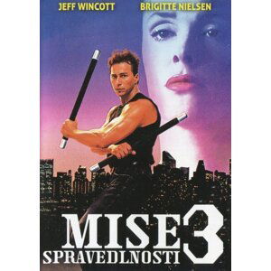 Mise spravedlnosti 3 (DVD)