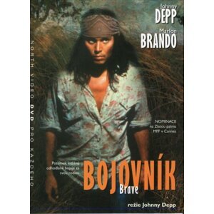 Bojovník (DVD)