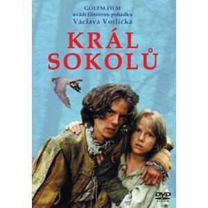 Král sokolů (DVD) (papírový obal)