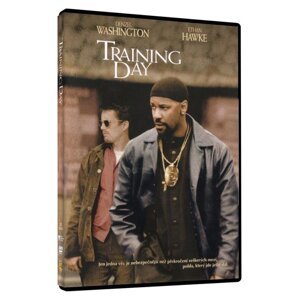 Training Day (DVD)