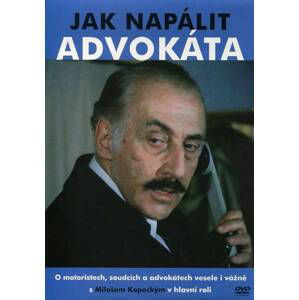 Jak napálit advokáta (DVD) (papírový obal)