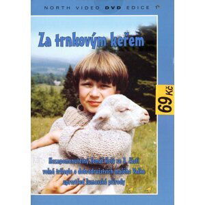 Za trnkovým keřem (DVD) (papírový obal)