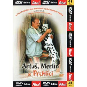 Artuš, Merlin a Prchlíci (DVD) (papírový obal)