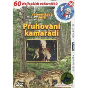 Pruhovaní kamarádi (DVD) (papírový obal)