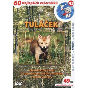 Tuláček (DVD) (papírový obal)