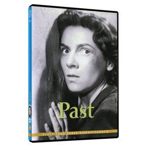 Past (DVD)