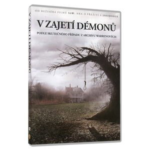 V zajetí démonů (DVD)