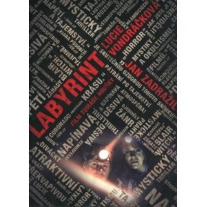 Labyrint (DVD) - český film