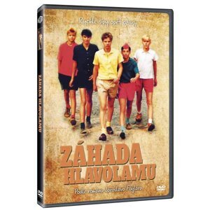 Záhada hlavolamu (DVD) - celovečerní film