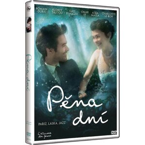 Pěna dní (DVD)