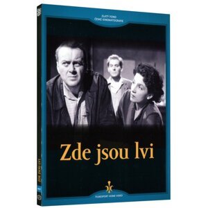 Zde jsou lvi (DVD) - digipack