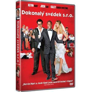 Dokonalý svědek s.r.o. (DVD)