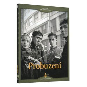 Probuzení (DVD) - digipack