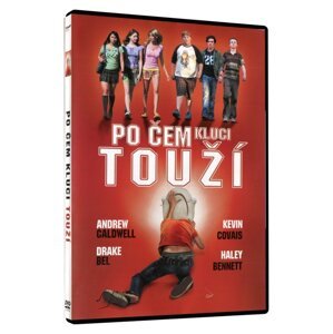 Po čem kluci touží? (DVD)