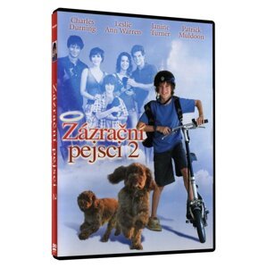 Zázrační pejsci 2 (DVD)