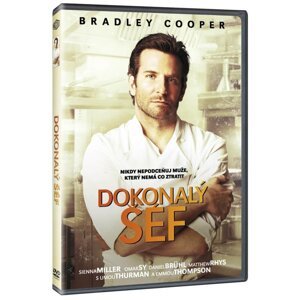 Dokonalý šéf (DVD)