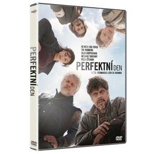 Perfektní den (DVD)