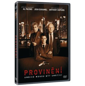 Provinění (DVD)