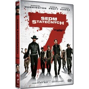 Sedm statečných (2016) (DVD)