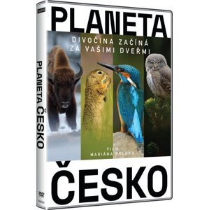 Planeta Česko (DVD)