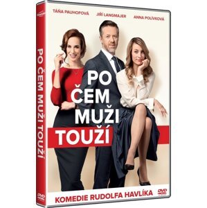 Po čem muži touží (DVD)