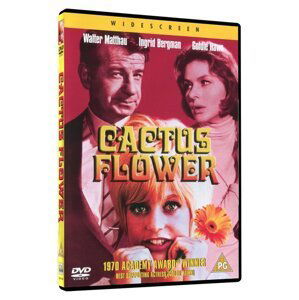 Kaktusový květ (DVD) - DOVOZ
