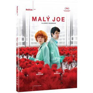 Malý Joe (DVD)