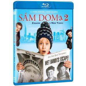 Sám doma 2 (BLU-RAY)