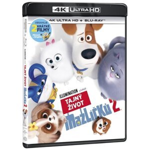 Tajný život mazlíčků 2 (4K ULTRA HD + BLU-RAY) (2 BLU-RAY)